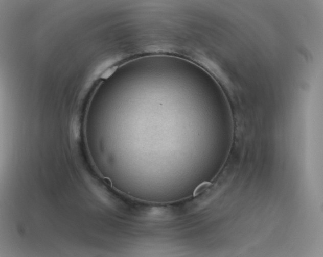 X0000115580060200911101157