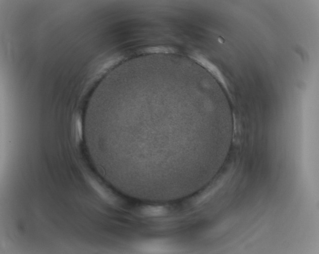 X0000115580061200911101157