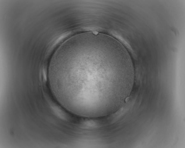 X0000115580062200911101157