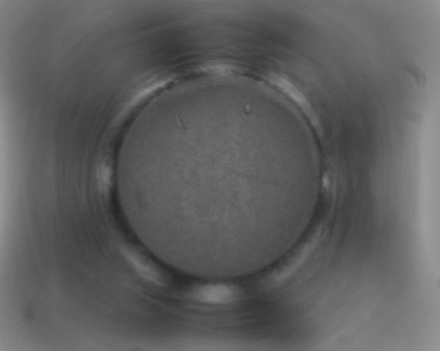 X0000115580063200911101157