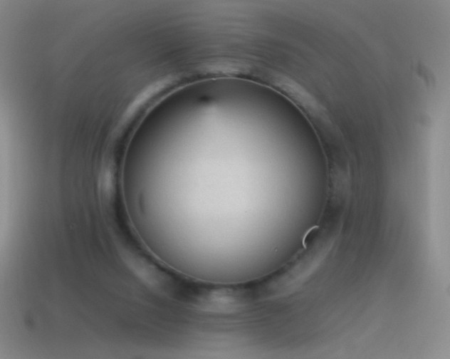 X0000115580064200911101157