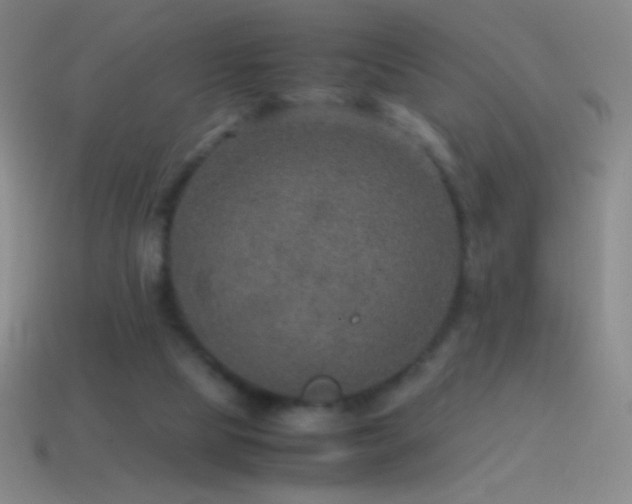 X0000115580065200911101157