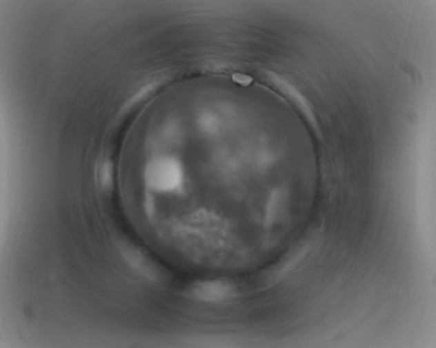 X0000115580067200911101157