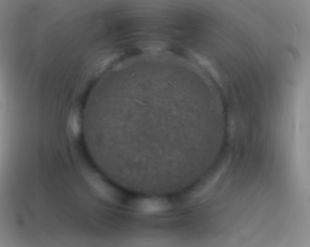 X0000115580069200911101157