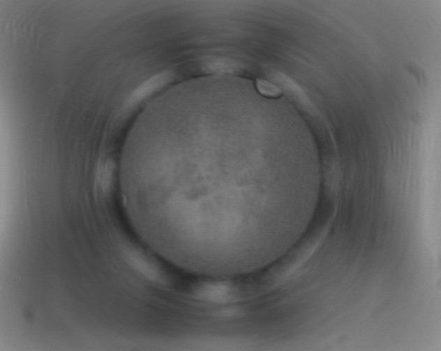 X0000115580071200911101157