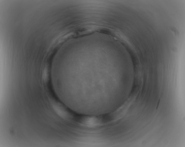 X0000115580074200911101157