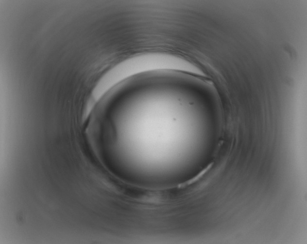 X0000115580076200911101157