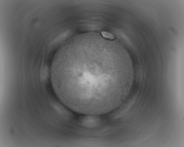 X0000115580077200911101157