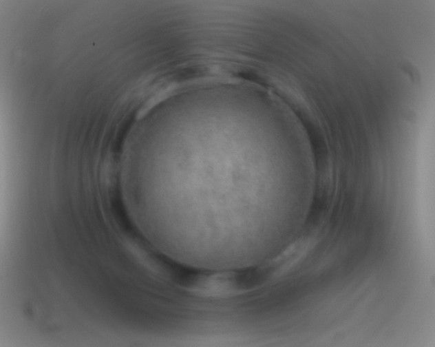 X0000115580078200911101157