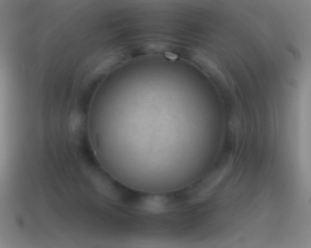 X0000115580079200911101157