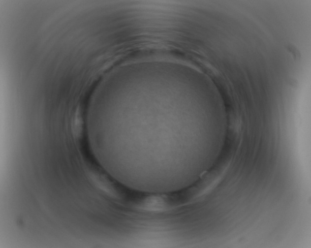 X0000115580080200911101157