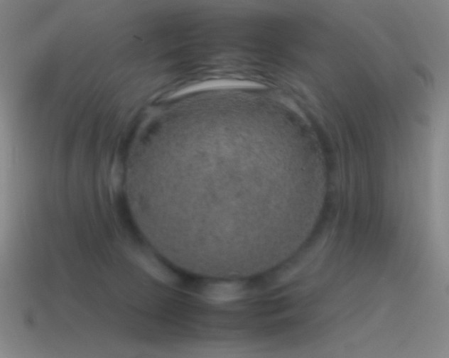 X0000115580081200911101157