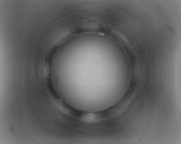 X0000115580083200911101157