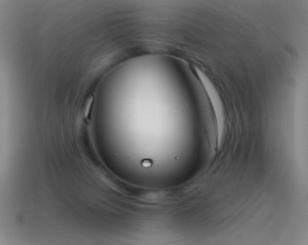 X0000115580084200911101157