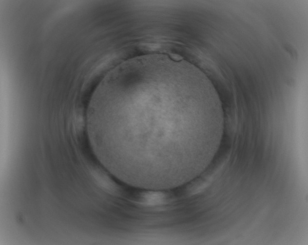 X0000115580085200911101157