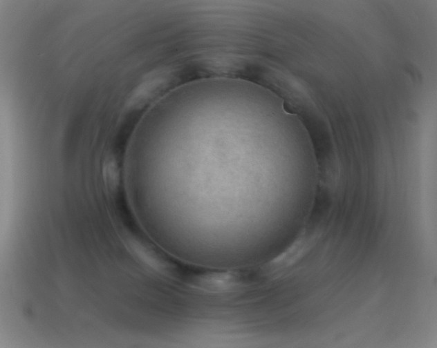 X0000115580086200911101157