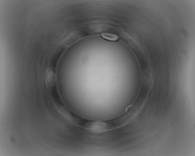 X0000115580087200911101157