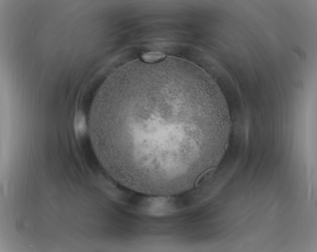 X0000115580089200911101157