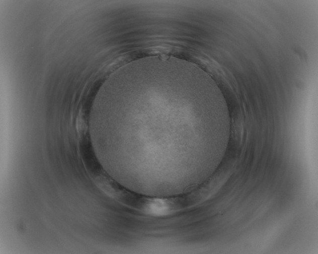 X0000115580091200911101157