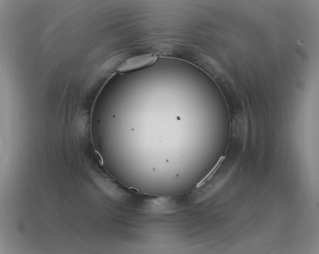 X0000115580092200911101157