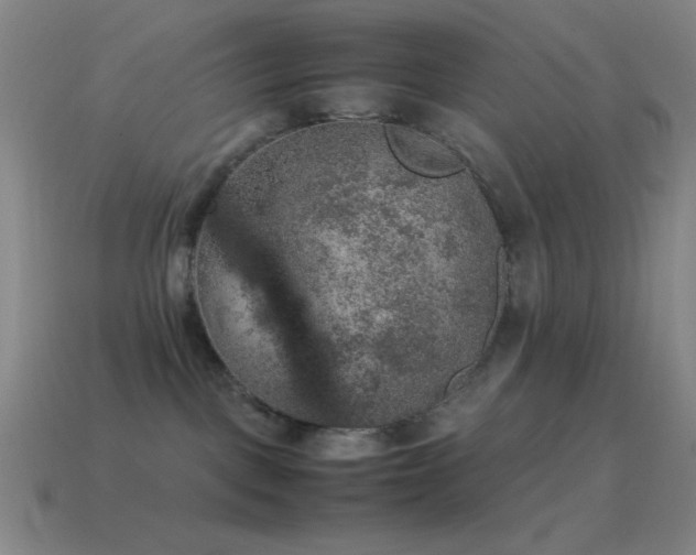 X0000115580093200911101157