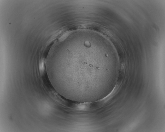 X0000115580094200911101157