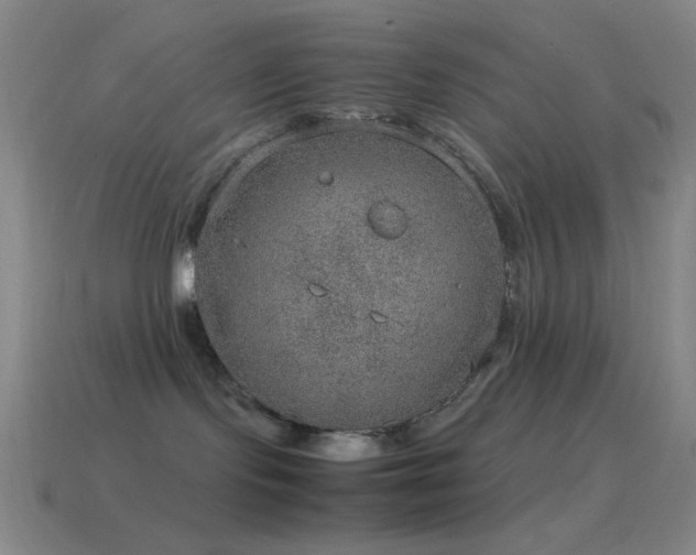 X0000115580095200911101157