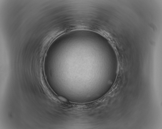 X0000115580097200911101157