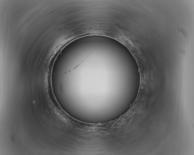 X0000115580098200911101157