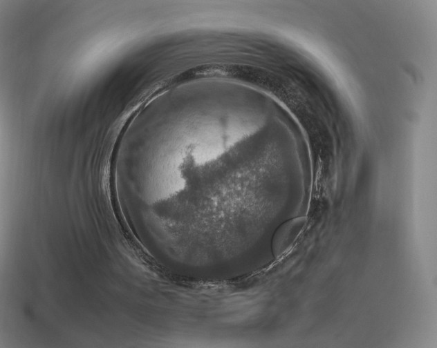 X0000115580099200911101157