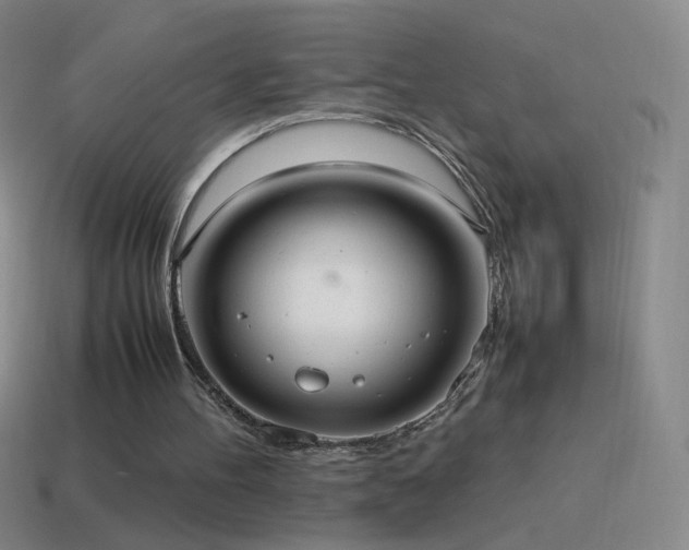 X0000115580100200911101157