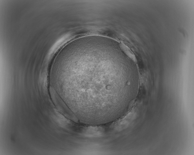 X0000115580101200911101157