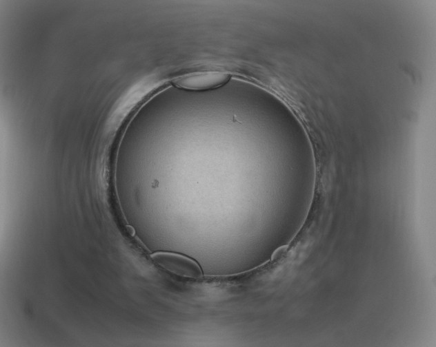 X0000115580103200911101157