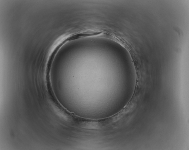 X0000115580104200911101157