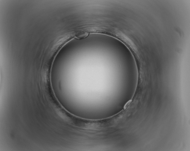 X0000115580105200911101157