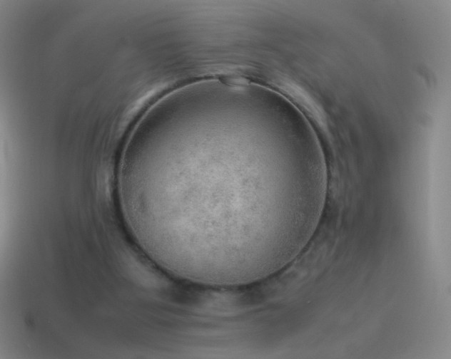 X0000115580107200911101157