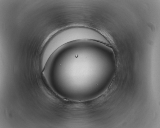 X0000115580108200911101157