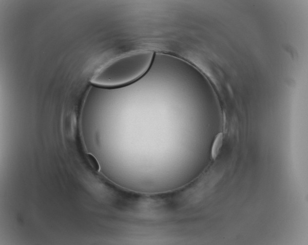 X0000115580109200911101157