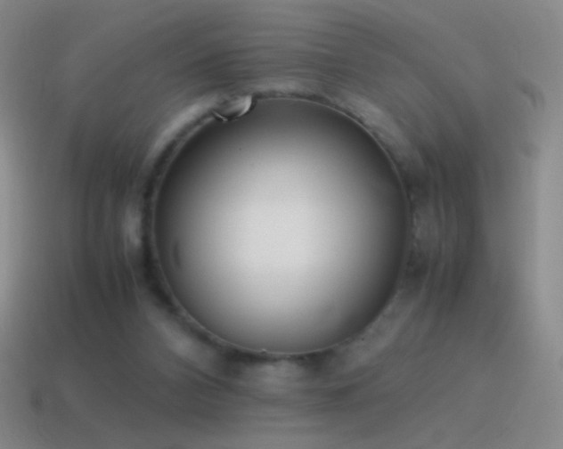 X0000115580112200911101156