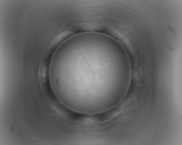 X0000115580115200911101156