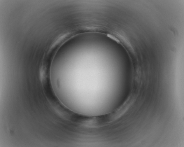 X0000115580116200911101156