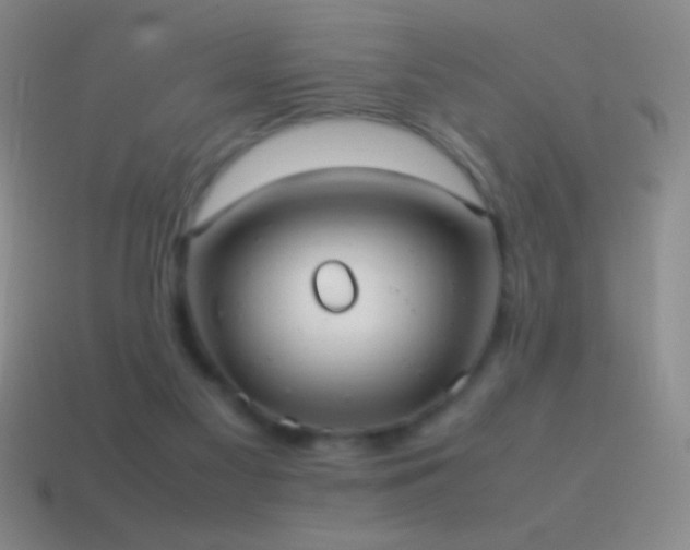 X0000115580117200911101156