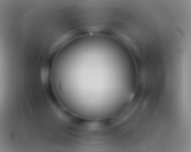 X0000115580118200911101156