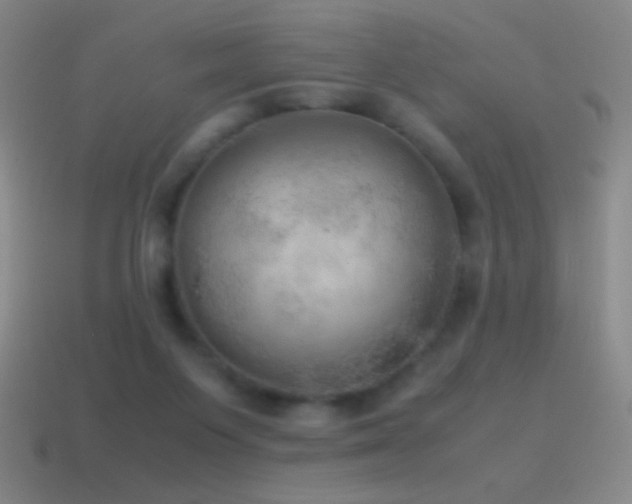 X0000115580119200911101156