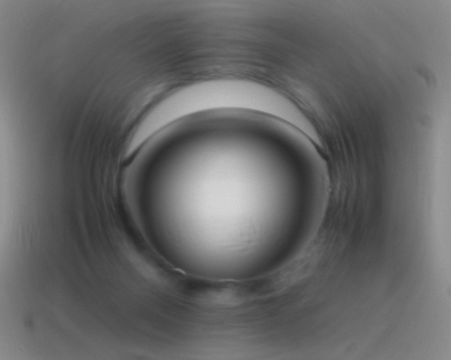 X0000115580120200911101156