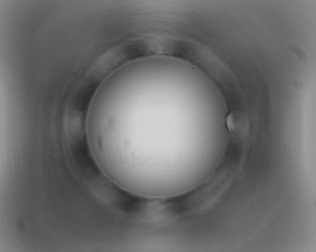 X0000115580121200911101156