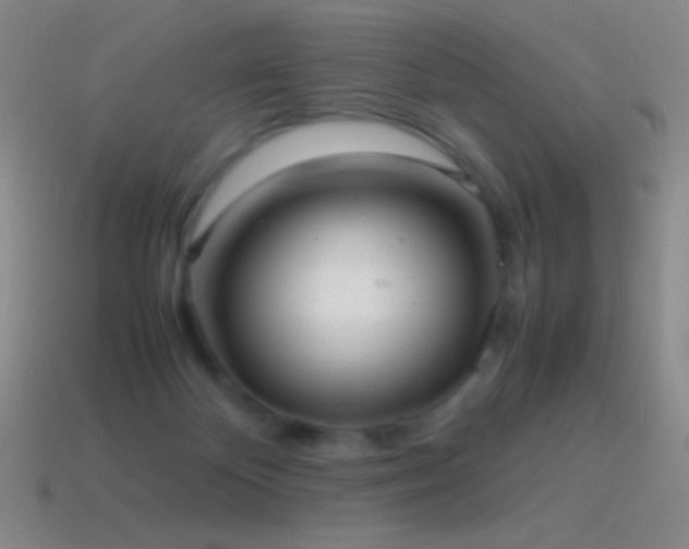 X0000115580124200911101156