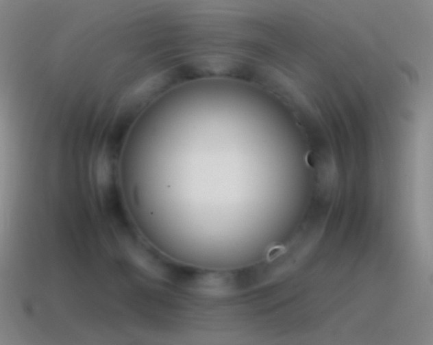 X0000115580126200911101156