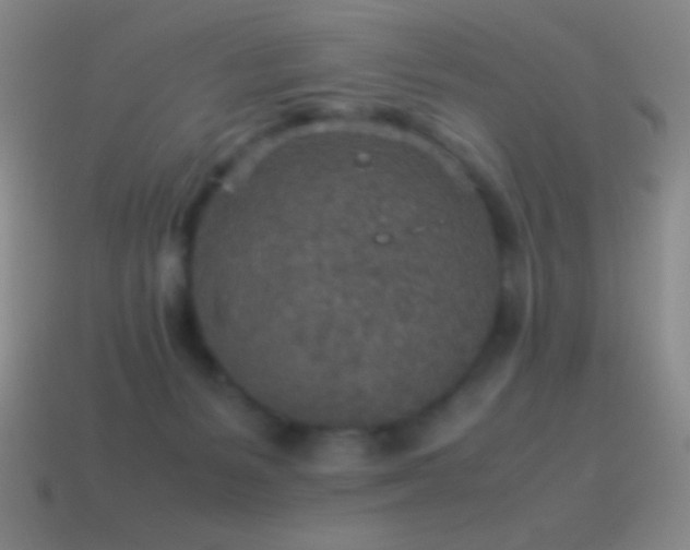 X0000115580127200911101156