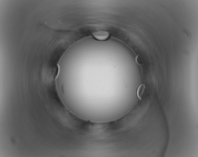 X0000115580129200911101156